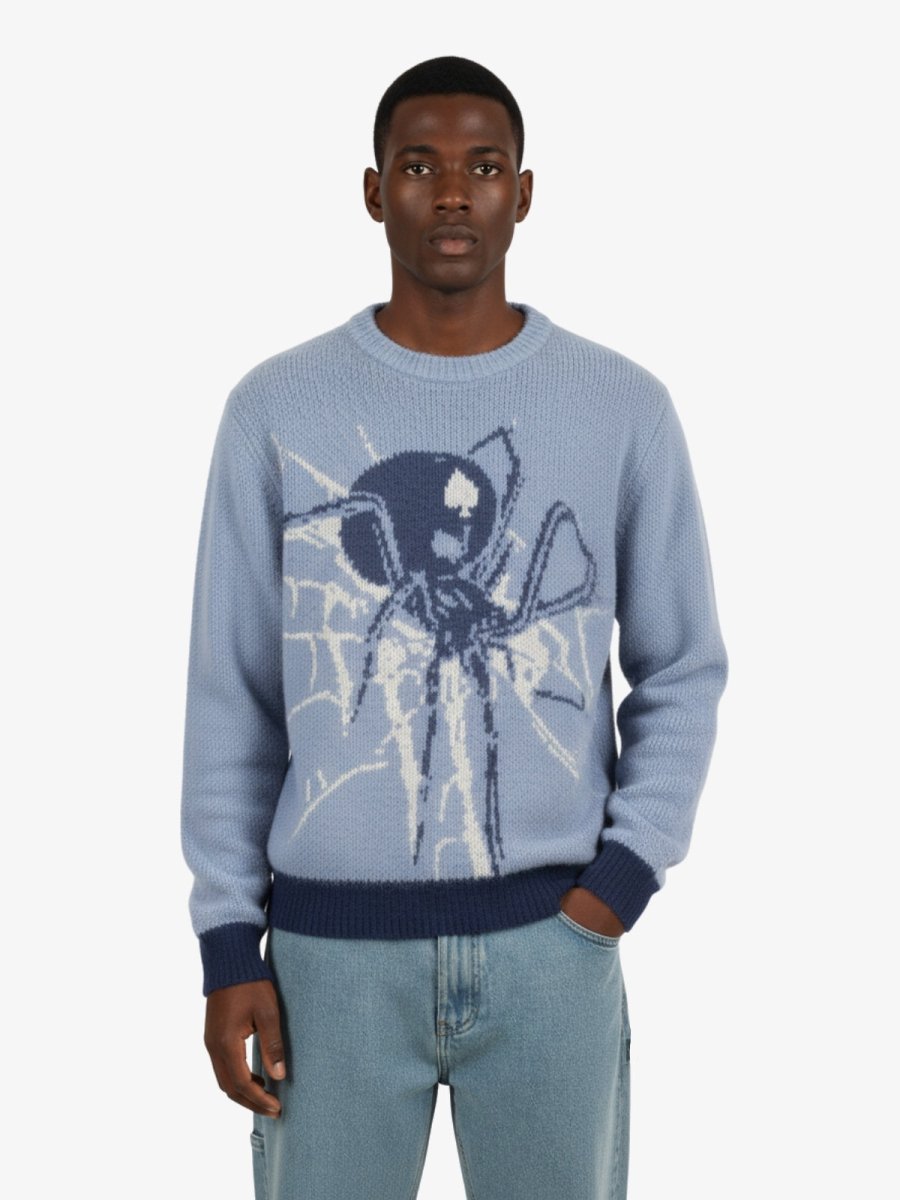 Pull araignée en toile - WegoStreet