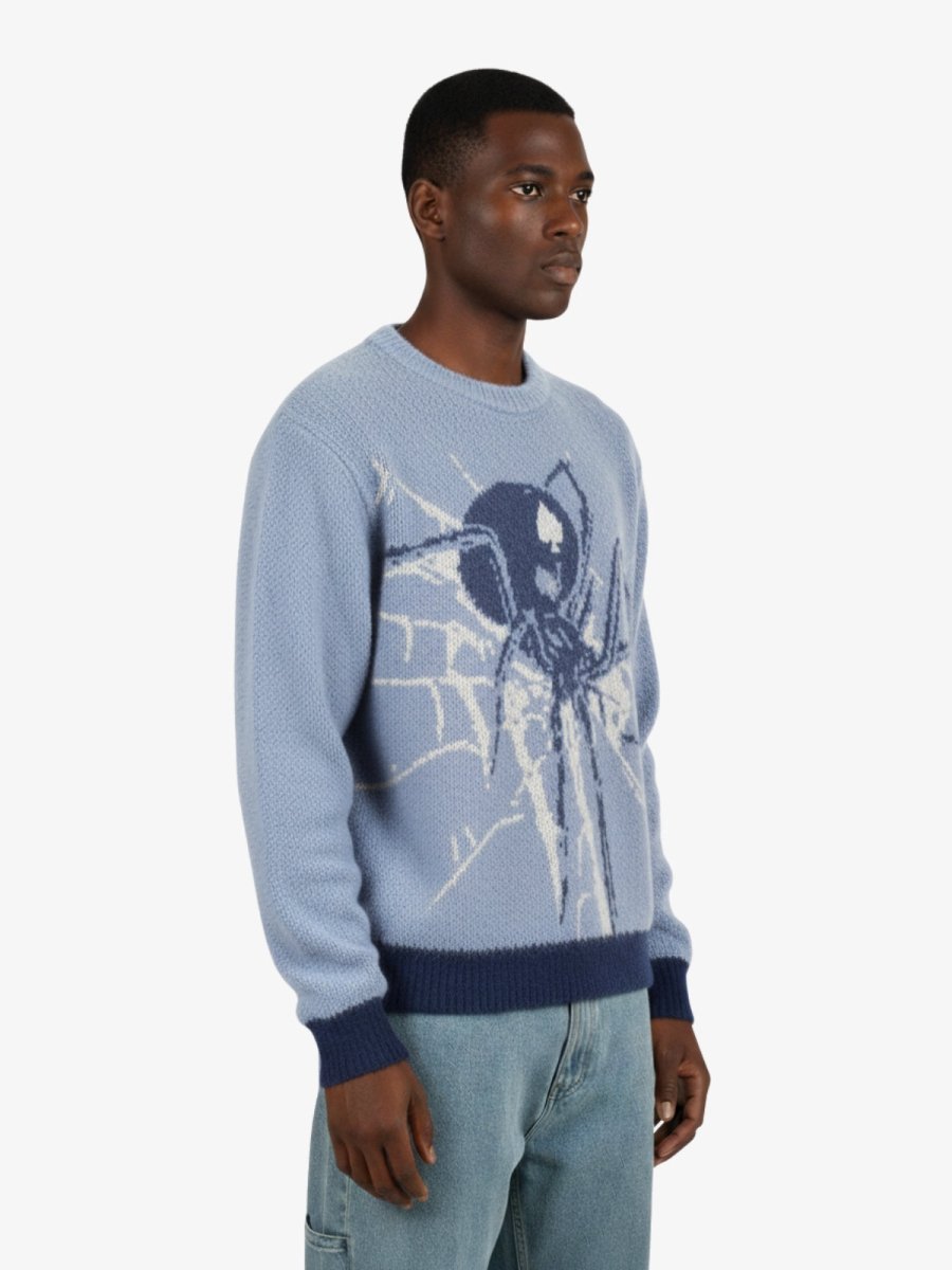 Pull araignée en toile - WegoStreet